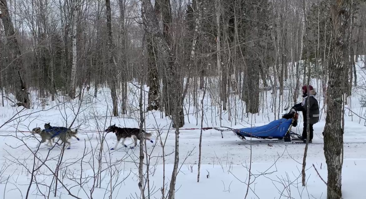 A musher on the Beargrease trail