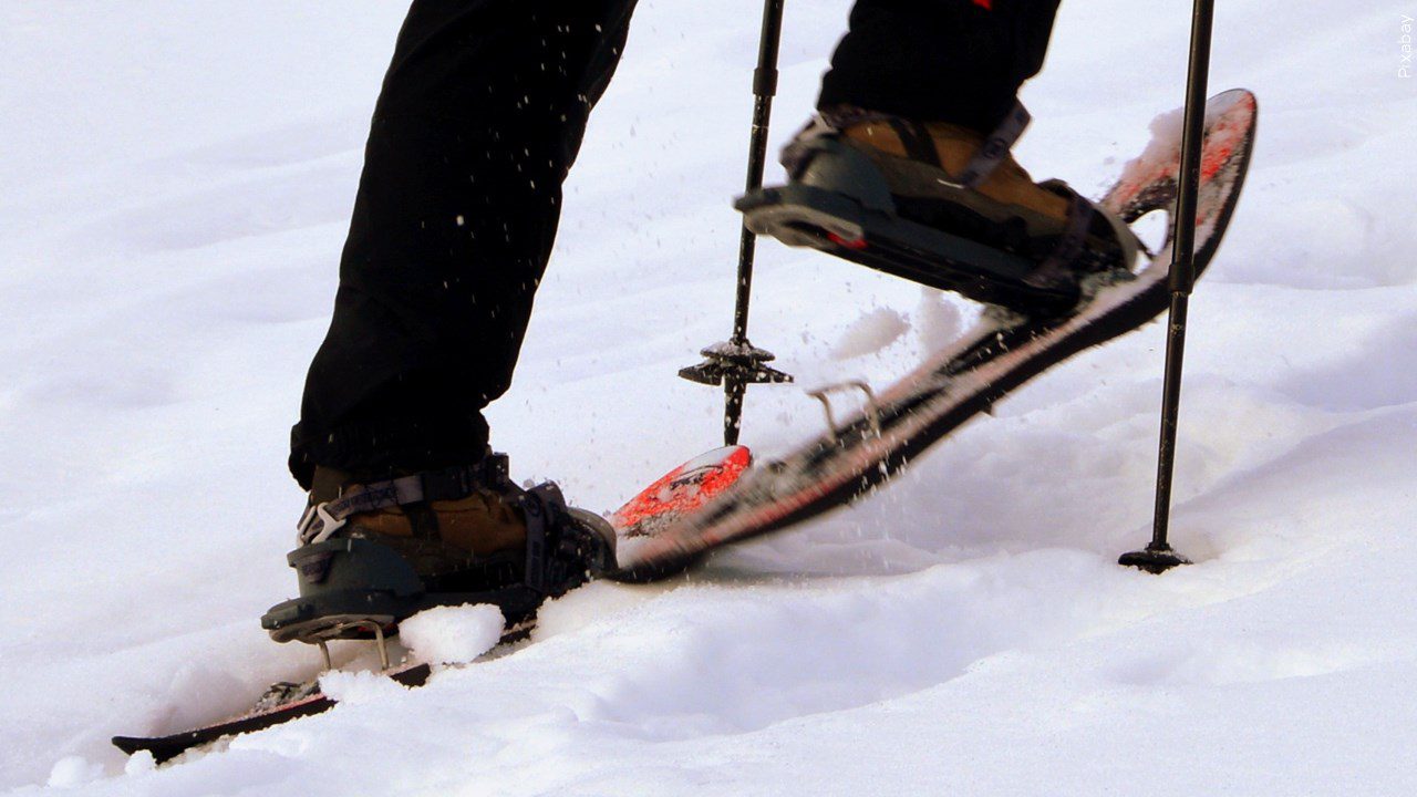Feet in snowshoes