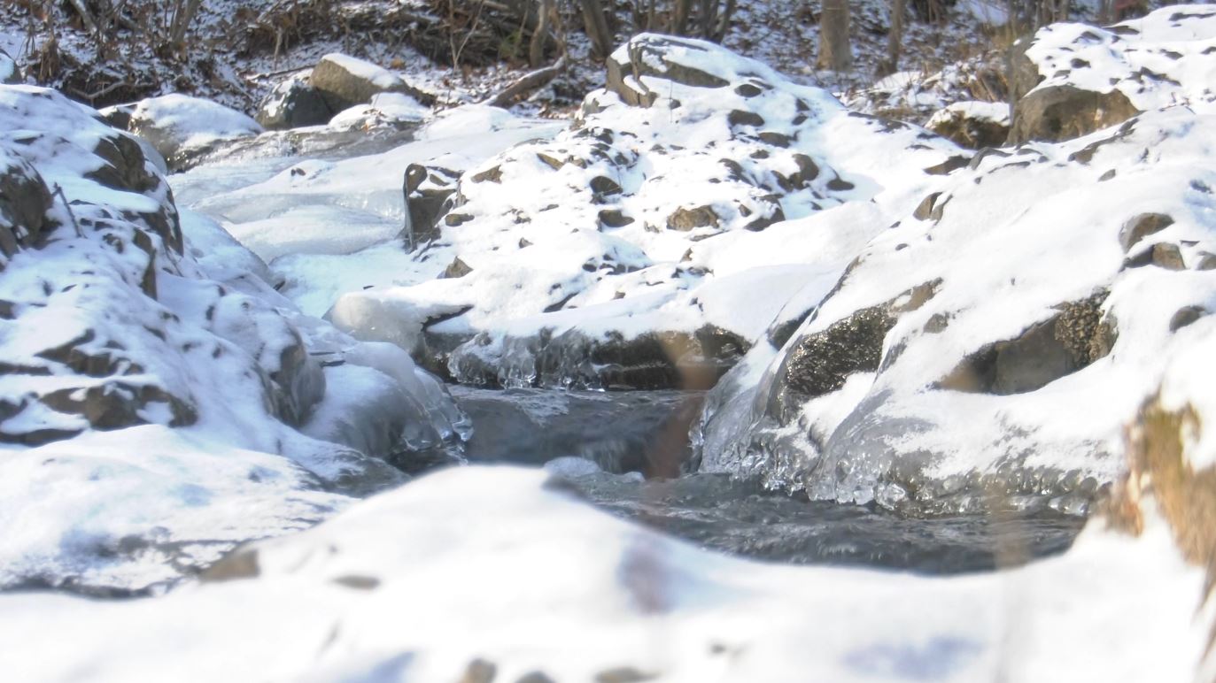 Chester Creek begins to freeze