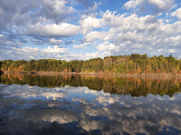OLIP- Mark Kuester - reflection on Spider Lake near Ino WI