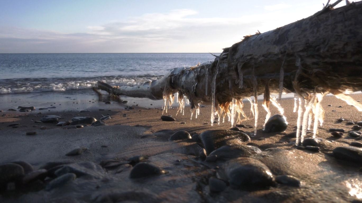 Icicles form on a piece of driftwood along the shore of Lake Superior