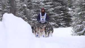 Erin Altemus in the 2021 Beargrease Sled Dog Marathon