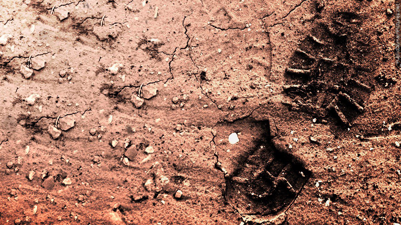 A footprint in mud